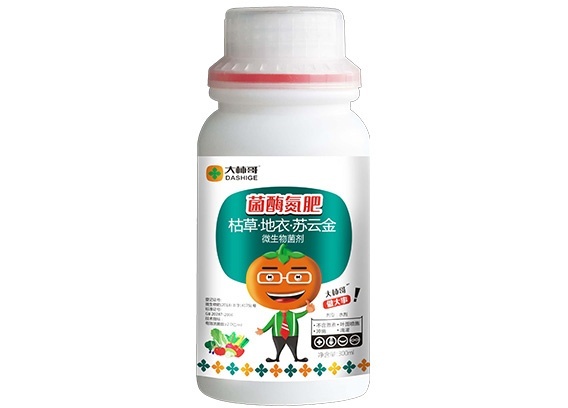 大柿哥生物科技分享大姜高產(chǎn)全程施肥辦法